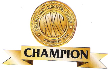 VIEW OUR AKC CHAMPIONS