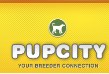 WE ADVERTISE HERE