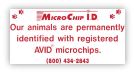 FOR THE SAFTY OF YOUR PET MICROCHIP!