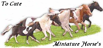CLICK HERE TO SEE OUR MINI HORSE PAGE